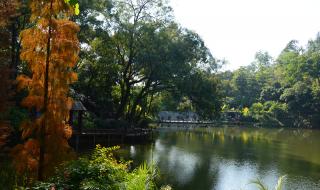 广州云台花园好玩吗 广州云台花园好玩吗