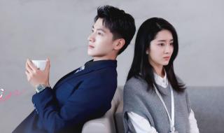 从结婚开始恋爱内容