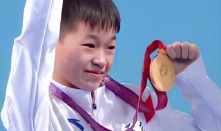 2017布达佩斯游泳世锦赛 2017布达佩斯游泳世锦赛